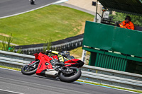 Slovakia-Ring;event-digital-images;motorbikes;no-limits;peter-wileman-photography;trackday;trackday-digital-images